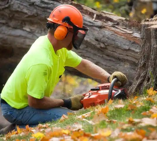 tree services Hubbardston